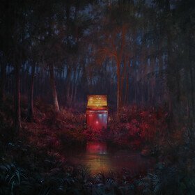 The Cosmic Selector Vol. 1 Lord Huron
