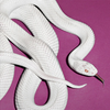 private music (Indie Exclusive)