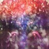 Fair Youth (10th Anniversary Edition)