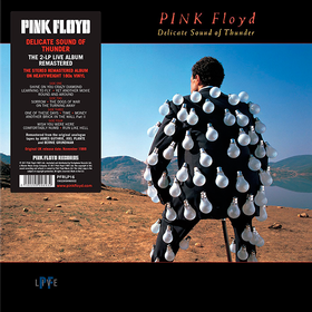 Delicate Sound Of Thunder Pink Floyd