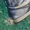Tread