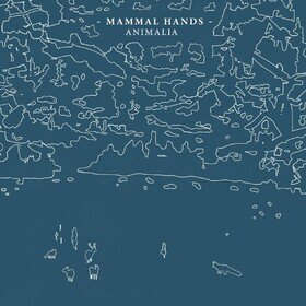 Animalia Mammal Hands