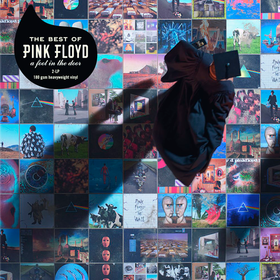 A Foot In The Door (The Best Of Pink Floyd) Pink Floyd