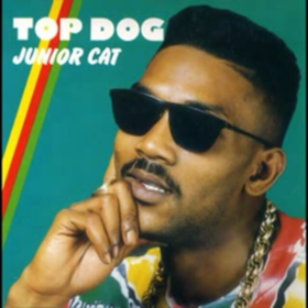Top Dog Junior Cat