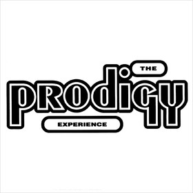 Experience Prodigy
