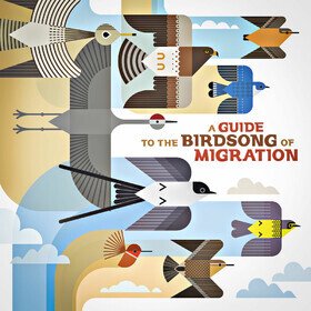 A Guide to the Birdsong of Migration Various Artists