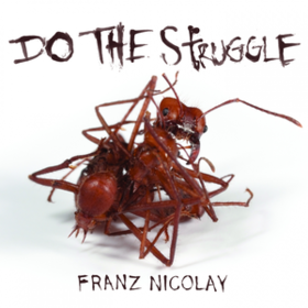 Do The Struggle Franz Nicolay