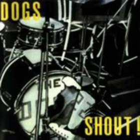 Shout! Dogs