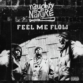 Feel Me Flow Naughty By Nature