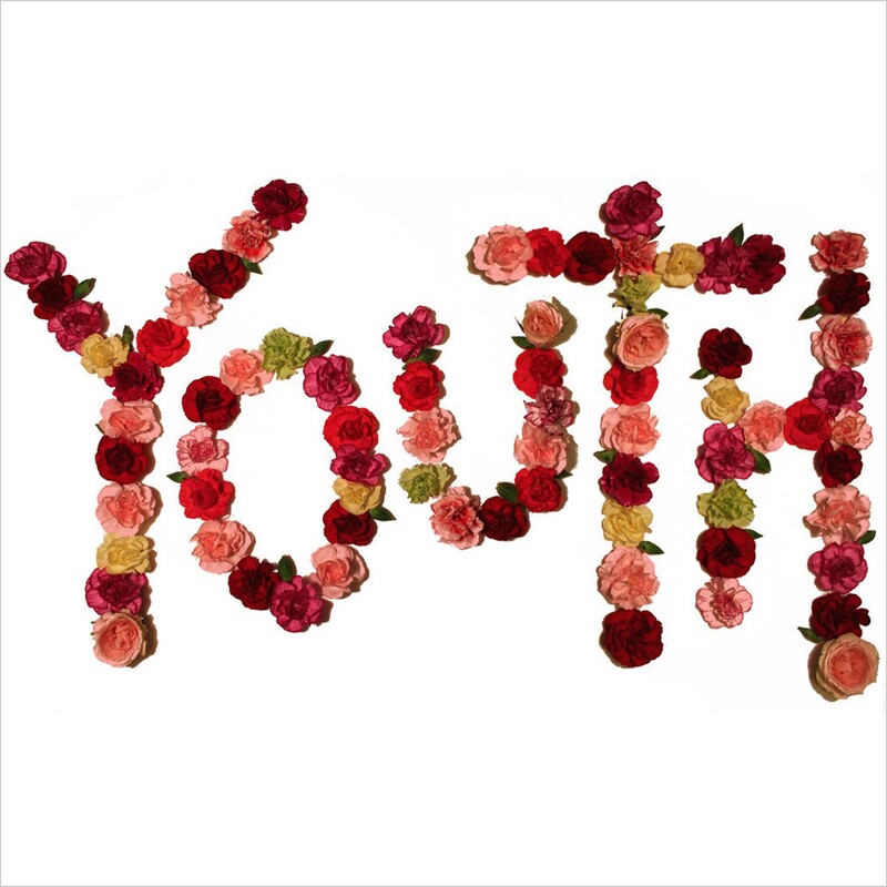 Youth (Limited Edition)