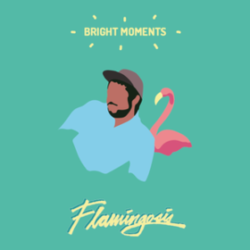 Bright Moments Flamingosis
