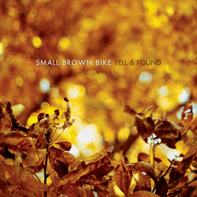Fell & Found Small Brown Bike