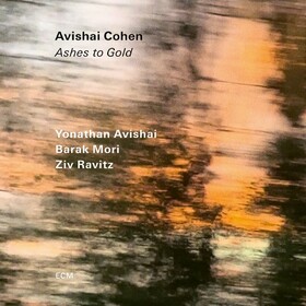 Ashes To Gold Avishai Cohen