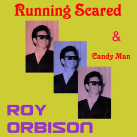 Running Scared Roy Orbison
