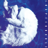 Whirlpool (Limited Edition)