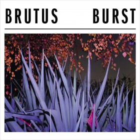 Burst -coloured- Brutus