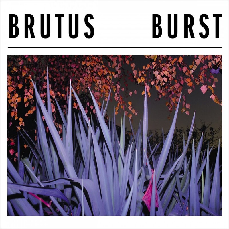 Burst -coloured-