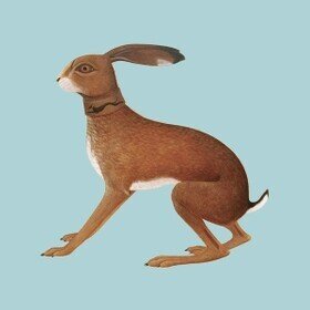 Lookaftering Vashti Bunyan