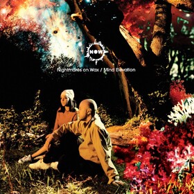 Mind Elevation Nightmares On Wax