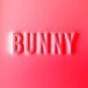 Bunny (Coloured)