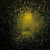 Burst Apart