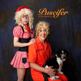 All Re-mixed Up Puscifer