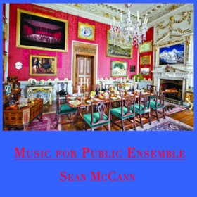 Music For Public Ensemble Sean Mccann