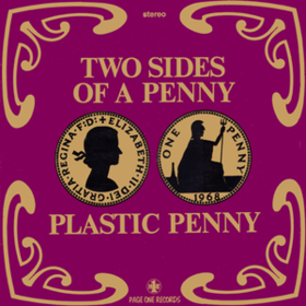 Two Sides Of A Penny Plastic Penny