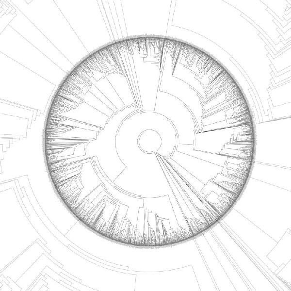 A Perception Of Matter And Energy