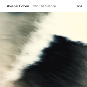 Into The Silence Avishai Cohen