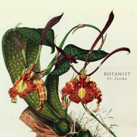 Vi: Flora Botanist