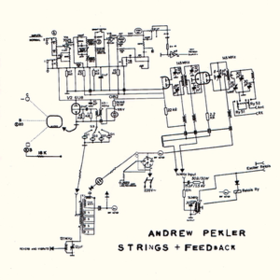 Strings + Feedback Andrew Pekler