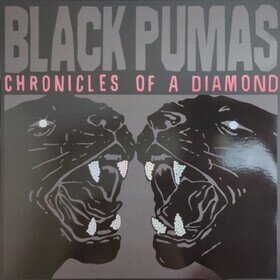 Chronicles of a Diamond (Midnight Edition) Black Pumas