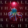 Let All That We Imagine Be The Light