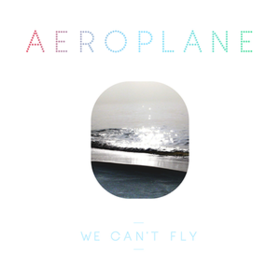 We Can't Fly Aeroplane