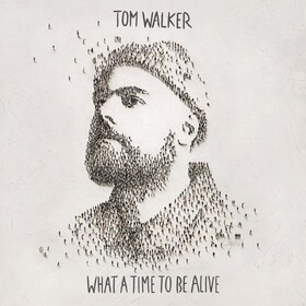 What A Time To Be Alive Tom Walker