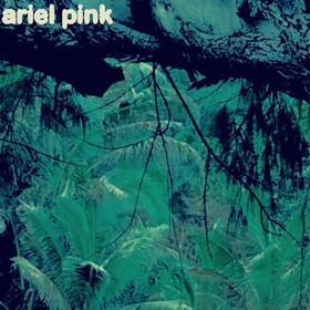 Odditties Sodomies Vol. 3 Ariel Pink