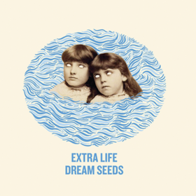 Dream Seeds Extra Life
