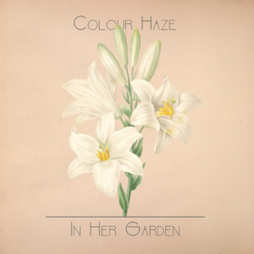 In Her Garden Colour Haze