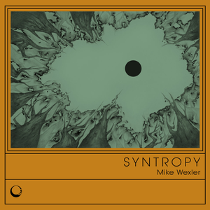 Syntropy
