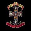 Appetite For Destruction (Limited Edition)