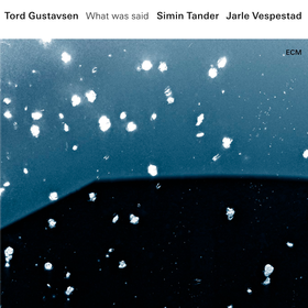 What Was Said Tord Gustavsen/Simin Tan/Jarle Vespestad