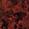 Murder Of The Universe (Live)