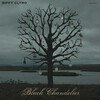 Black Chandelier / Biblical