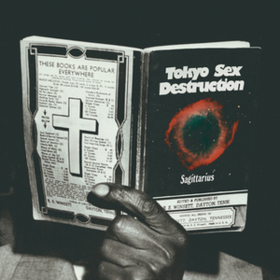 Sagittarius Tokyo Sex Destruction