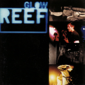 Glow Reef