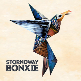 Bonxie Stornoway