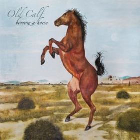 Borrow A Horse Old Calf