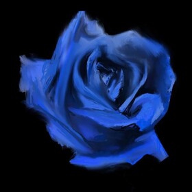 Rosebud Current Joys