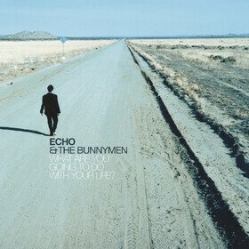 What Are You Going To Do With Your Life ? Echo And The Bunnymen
